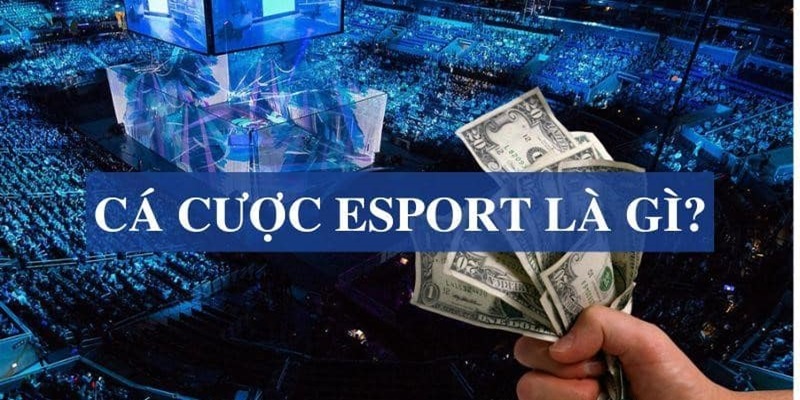 Thông tin về cá cược Esports Rikvip